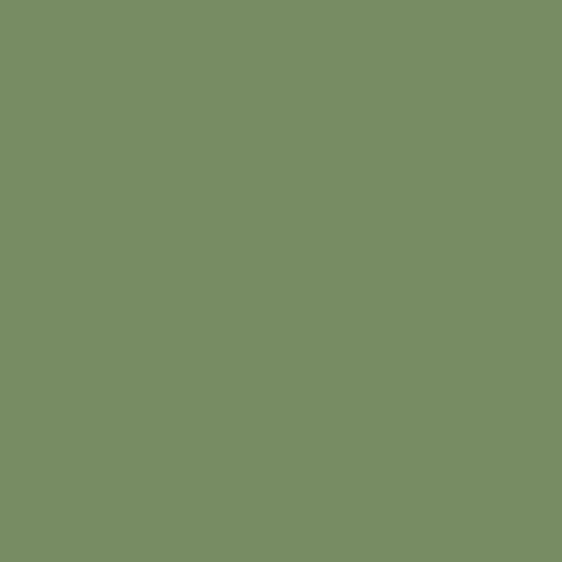 Kalkmaling Farven Olive Green - grøn kalkmaling