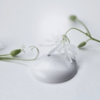 Kalkmaling Natural White 2500ml