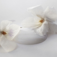 Kalkmaling Pearl Grey grå 2500ml