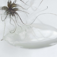 Kalkmaling Soft Sand 700ml