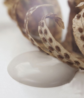 Kalkmaling French Beige 2500ml