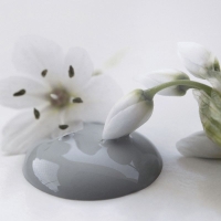 Kalkmaling Light Petrol blågrøn 100ml