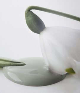 Kalkmaling Dusty Green grøn 2500ml