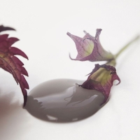 Kalkmaling Dark Powder pudder 100ml