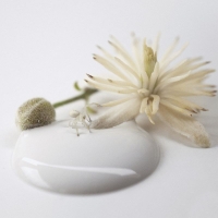 Kalkmaling Antique Cream creme 2500ml