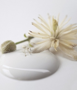 Kalkmaling Antique Cream creme 2500ml