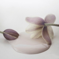 Kalkmaling Antique Rose rosa 2500ml