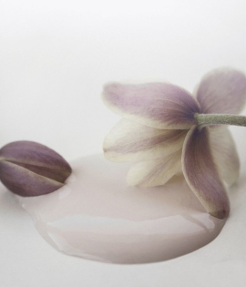 Kalkmaling Antique Rose rosa 2500ml