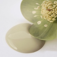 Kalkmaling Antique Green grøn 2500ml