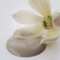 Kalkmaling Old Beige 2500ml