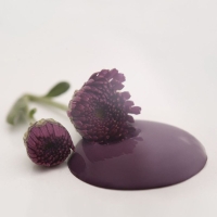 Kalkmaling Posh Plum blommefarve 100ml