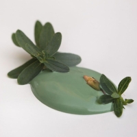 Kalkmaling Graceful Green grøn 100ml