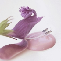 Kalkmaling Dusty Rose rosa 100ml