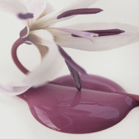 Kalkmaling Vintage Red rød 100ml