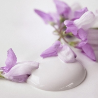 Kalkmaling Baby Rose rosa 700ml