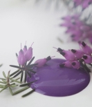 Kalkmaling Dark Purple lilla 700ml