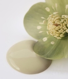 Kalkmaling Antique Green grøn 100ml